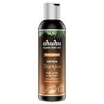 Analyse und Vergleich: Die besten Shampoos für dickes Haar im Friseursortiment