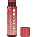 Analyse und Vergleich: Die besten Friseurprodukte mit Burt's Beeswax Getöntem Lippenbalsam