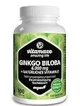 Ginkgo-Erfahrungen: Analyse und Vergleich der besten Friseurprodukte mit dem Power-Wirkstoff Ginkgo Biloba